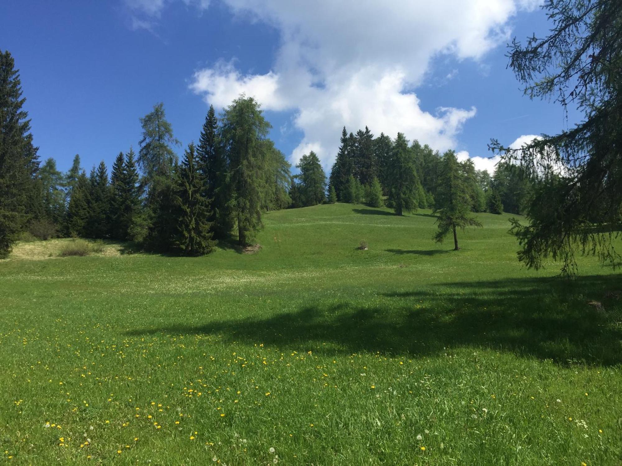 Wellness E Resort Stella Delle Alpi Ronzone Exterior foto